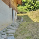 Zoe A Avec Vue Sur Les Alpes