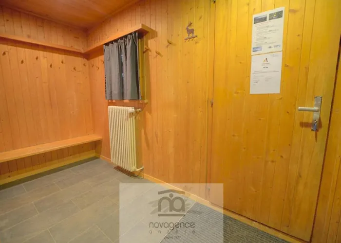 Zoe A Avec Vue Sur Les Alpes Anzère